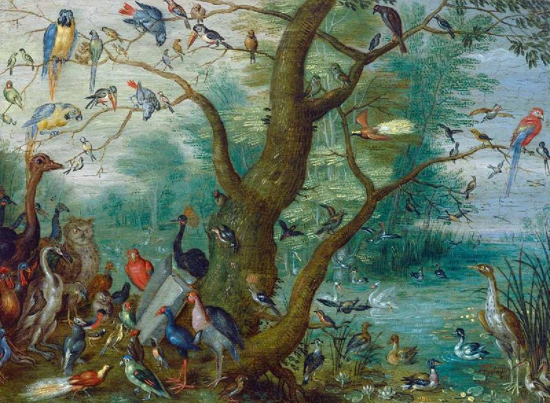 Concert van Vogels, Jan Van Kessel